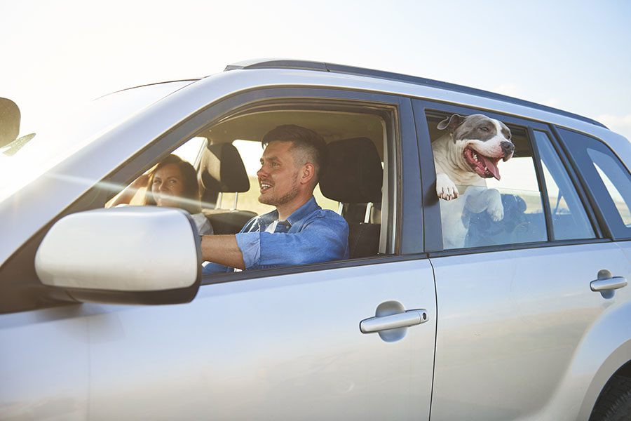 Insurance Quote - Family Going on a Road Trip With Their Dog